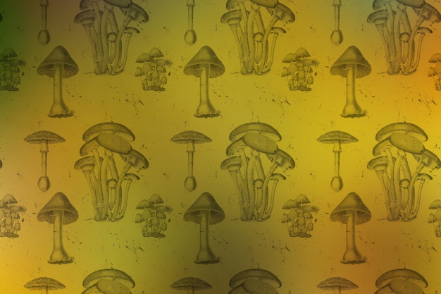 Seamless pattern of hand drawn mushrooms on a yellow background