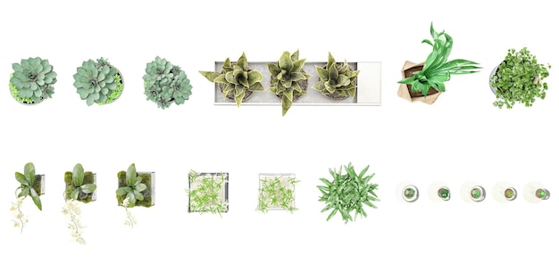 Set of indoor house plants in pots from top view