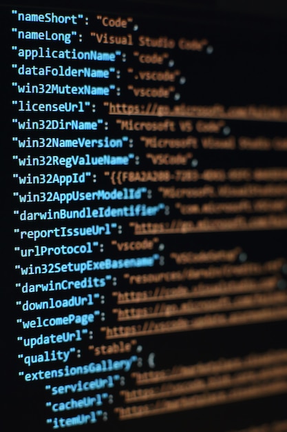 Software developer programming code. Abstract computer script code. Selective focus