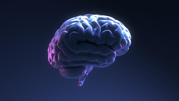 The Brain side view is on dark blue background.