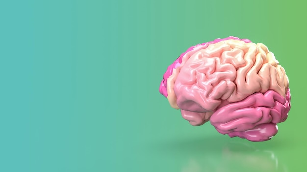 the pink brain for eduction or creative concept 3d rendering