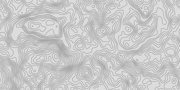 topographic line contour map background geographic grid map abstract white topography