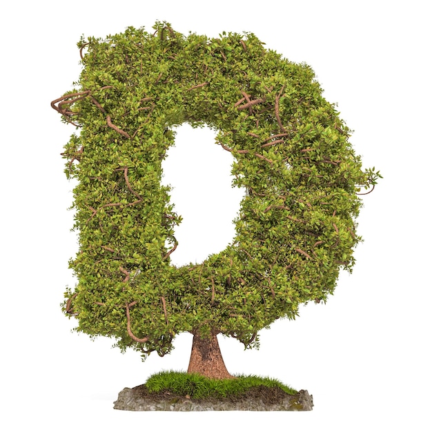 Tree letter D Tree in shaped of letter D 3D rendering