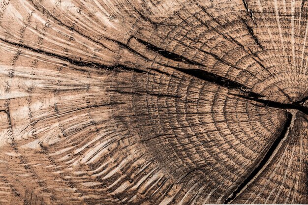 Vintage brown natural wooden texture