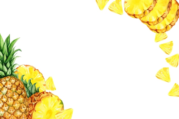 watercolor hand drawn illustration of pineapple with half and slices ripe pineapple sketch of tropical fruit food illustration isolated on white background