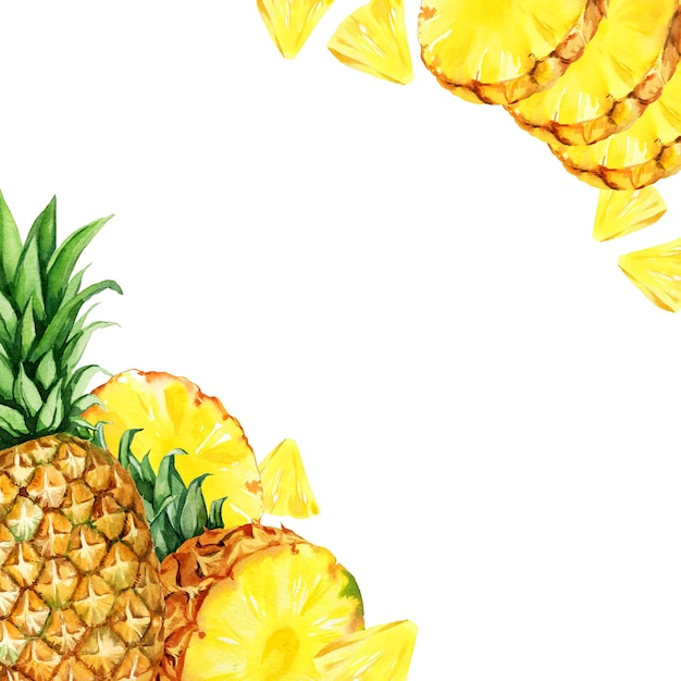watercolor square frame with illustration of pineapple with half and slice pineapple sketch of fruit