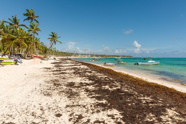 07242022 Dominicaanse Republiek Bavaro Punta cana provincies La Altagracia Zeewier op het strand Algensargassum Caribisch ecologisch probleem