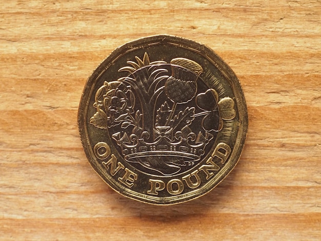 1 pond munt achterzijde tonen Naties van de kroon valuta