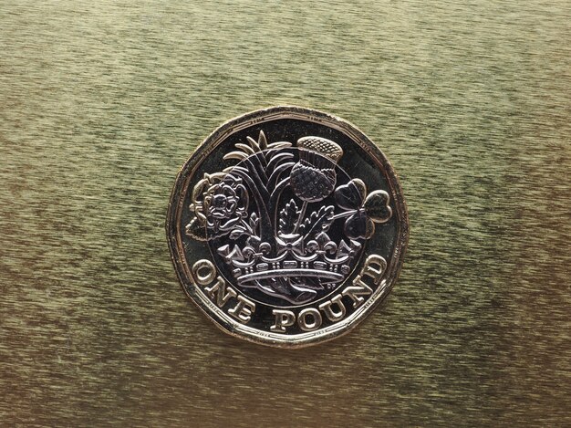 Photo 1 pound coin, united kingdom over gold