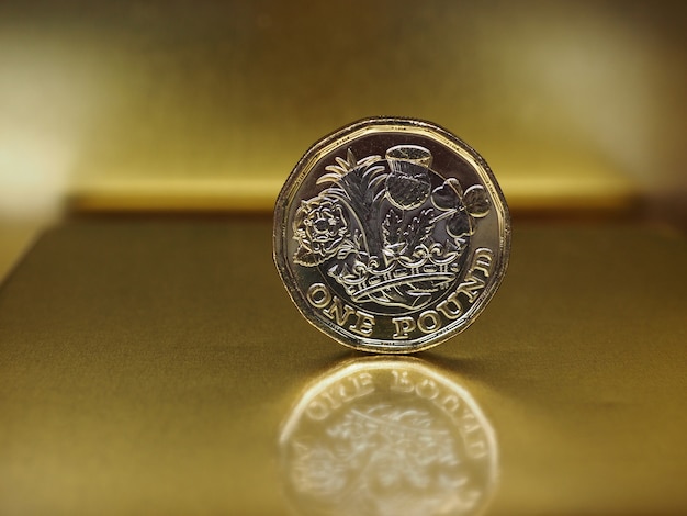 1 pound coin, United Kingdom over gold