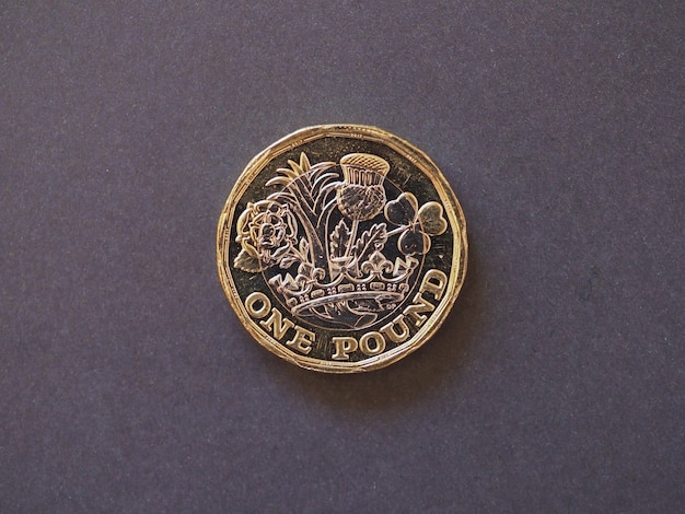 Photo 1 pound coin, united kingdom