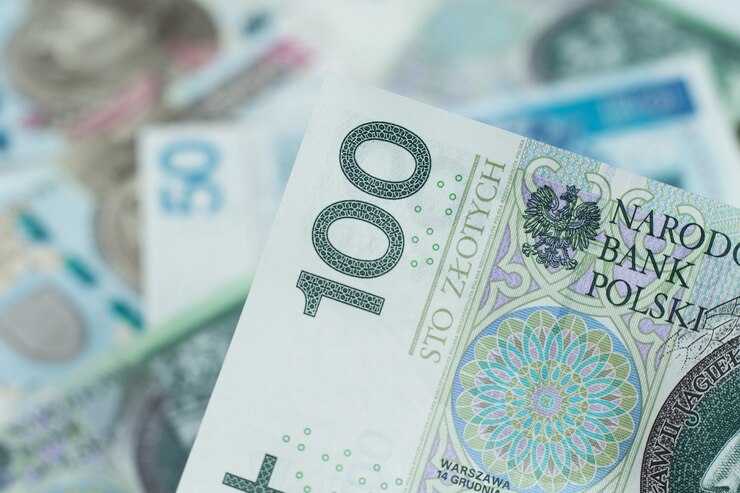 100ズウォティ、ポーランド通貨紙幣
