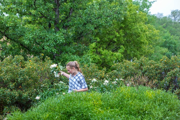 13 year old girl cutting roses from formal garden