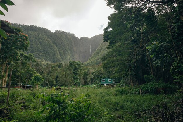 Photo the 1450 ft tall hiilawe waterfall in the waipio valley big island hawaii