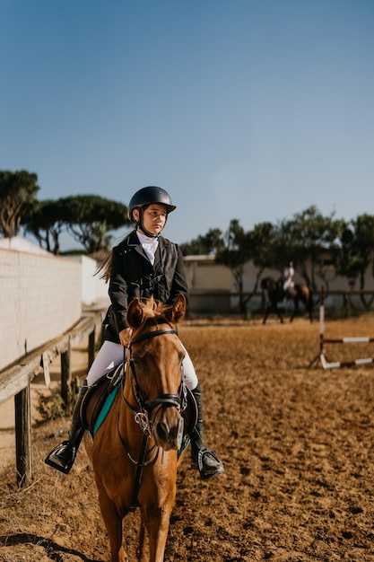 馬術競技場で茶色の馬をウォーミングアップする 15 歳