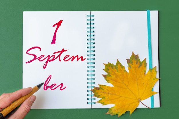 1 сентября. Левая рука пишет дату 1 сентября в открытой записной книжке с красивым естественным кленовым листом на зеленом фоне. Осенний месяц, день года концепции.