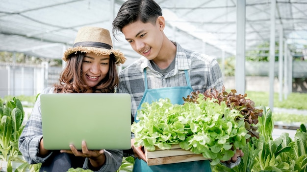 2 Farmer inspect the quality of vegetable organic salad and lettuce from hydroponic farm and record in the laptop to give customers the best product.