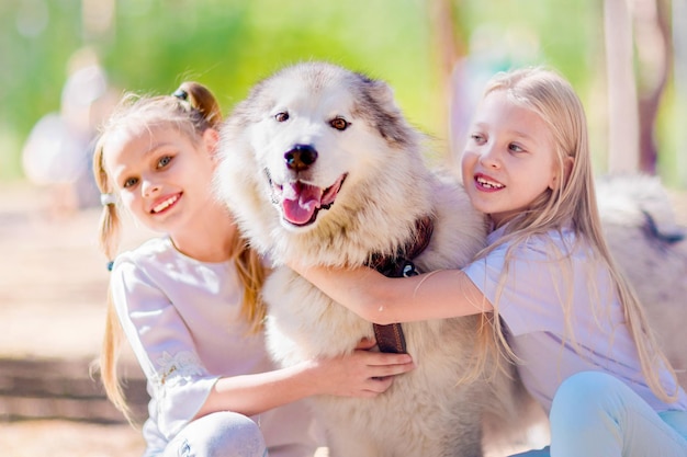 2 happy girls hugging a dog in the summer forest