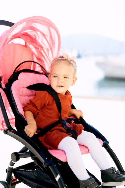 2-jarig meisje in een terracotta jurk en een witte panty zittend in een roze kinderwagen.