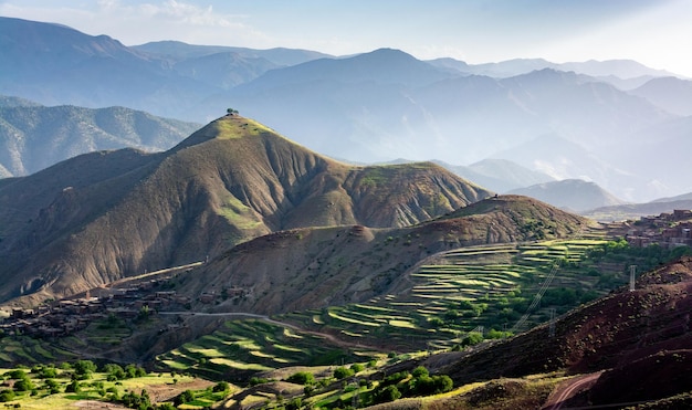 2 single trees on top of a mountain a village and terraced cultivated fields in the Atlas Mountain