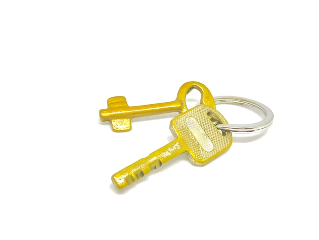 2 types of golden key in the ring with with background.