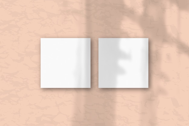 Foto 2 vierkante vellen wit gestructureerd papier op de roze muurachtergrond. lay-out met een overlay van plantschaduwen. natuurlijk licht werpt schaduwen uit het raam. plat lag, bovenaanzicht. horizontale oriëntatie