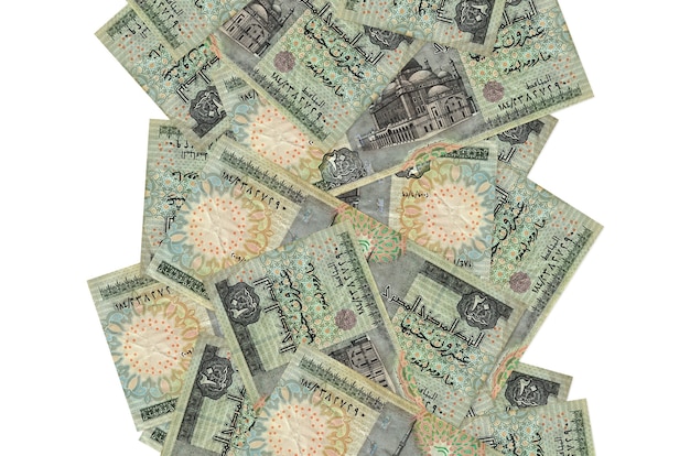 20 Egyptian pounds bills flying down isolated on white. Many banknotes falling with white copy space on left and right side