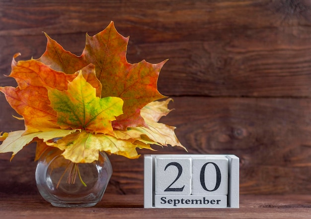 20 september op een houten kalender en herfstboeket van esdoornkleurige bladeren. datum van de herfstmaand. Het concept van de gouden herfst.