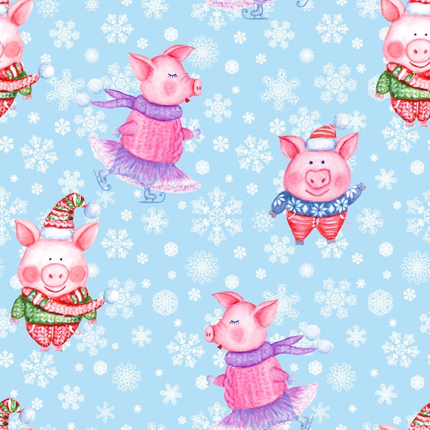 Photo 2019 happy new year and christmas seamless pattern illustration with watercolor hand drawn funny pigs in knitted clothes on blue background with snowflakes. print for gift wrapping, greeting cards.