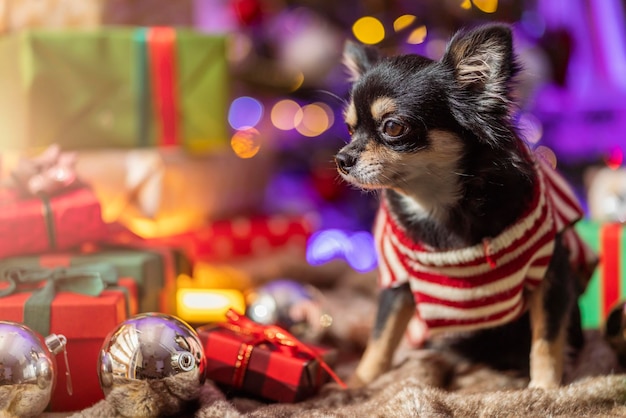 2022 per celebrare il capodanno e la vigilia di natale conceptstanding con cornice organizzare di varietà di regali avvolgere scatole di nastro e albero di natale bokeh chiaro