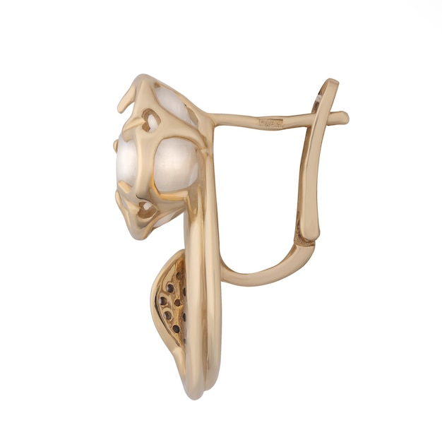 Photo 2022 fashion gold earrings fashion stylish elegant jewelry