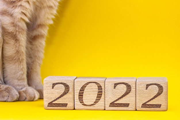 2022 numeri su blocchi di legno accanto a una parte di un gatto rosso su sfondo giallo.