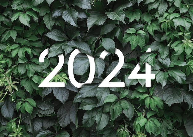写真 2024年 新年は緑の葉に隠された白い文字で描かれています
