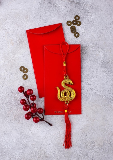 2025 chinese new year of snake concept
