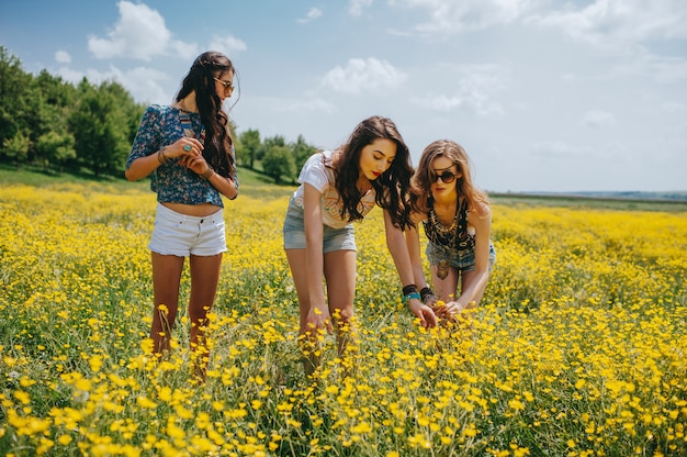 3 beautiful hippie girl in a field of yellow flowers