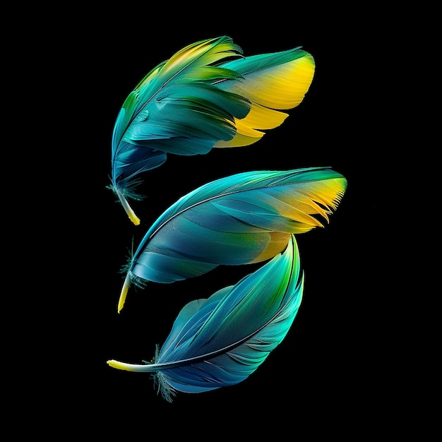鳥の羽が吹き飛ばされ風が吹くと青緑黄色の色で少し曲がる形をしています