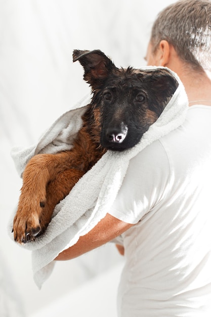 Foto cucciolo di pastore tedesco di 3 mesi che fa il bagno