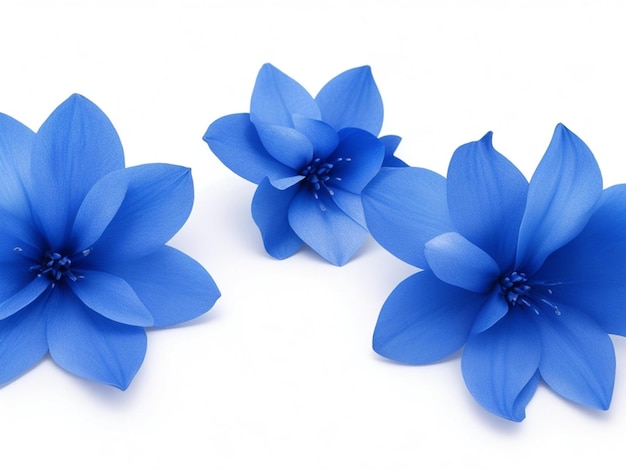 白で隔離される 3 つのシュールなエキゾチックな高品質の青い花マクロ