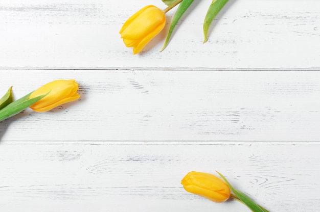 3 yellow tulips on a white wooden surface, flowers