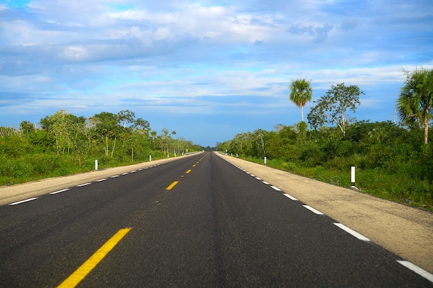 305D weg dichtbij Playa del Carmen Mexico