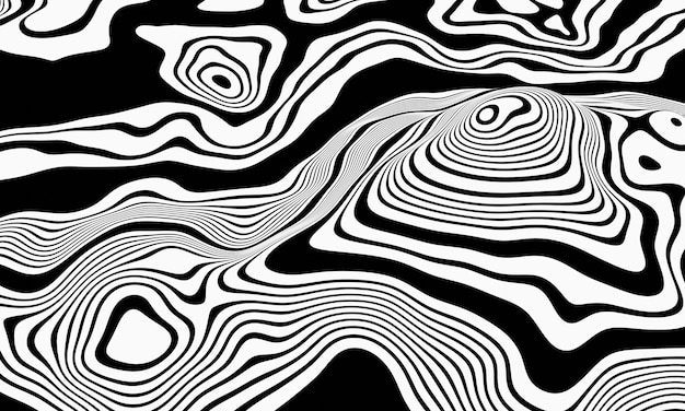 3D Abstract topographic contour. Black and white terrain.