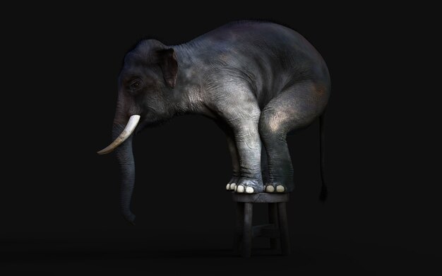 3d-afbeelding van een olifant staande op een kleine kruk geïsoleerd op donkere zwarte achtergrond met uitknippad.