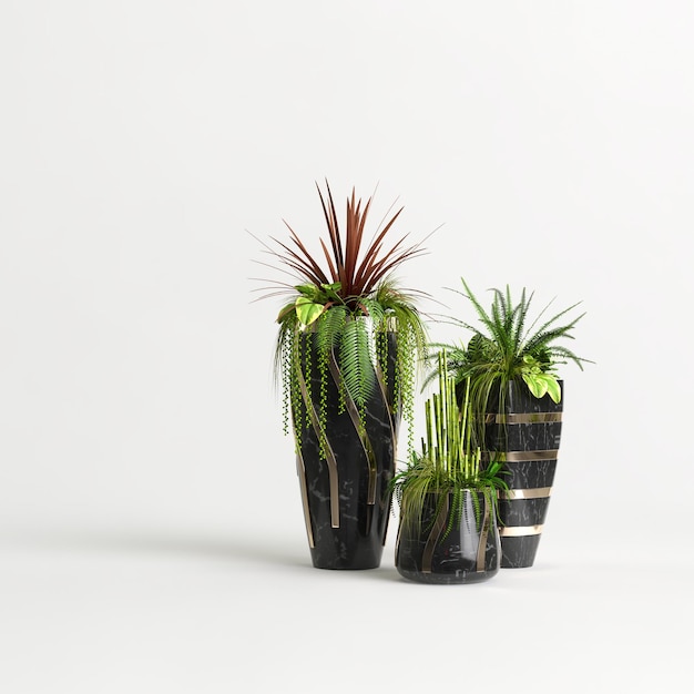 3D-afbeelding van indoor stenen planten collectie geïsoleerd op een witte achtergrond