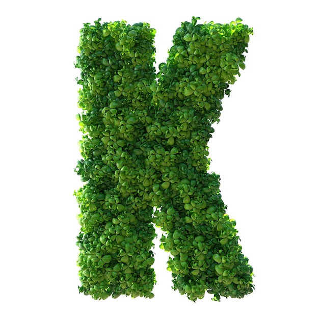 3D alfabet letter K Groene plant bladeren gras mos basilicum munt geïsoleerd op een witte achtergrond met uitknippad 3d illustratie