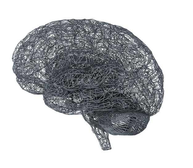 3d brain illustration