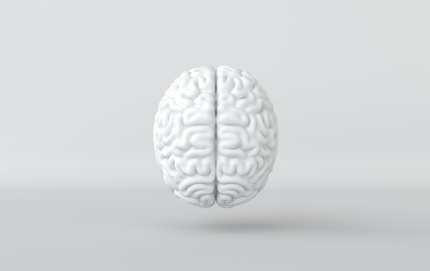 3d brain rendering illustration template background The concept of intelligence brainstorm