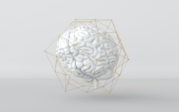 Foto priorità bassa del modello dell'illustrazione del rendering del cervello 3d