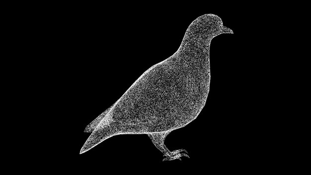 3D Duif op zwarte bg De vogelduif is een symbool van vrede en welvaart Wilde dierenconcept Bescherming van het milieu Voor titeltekstpresentatie 3D-animatie