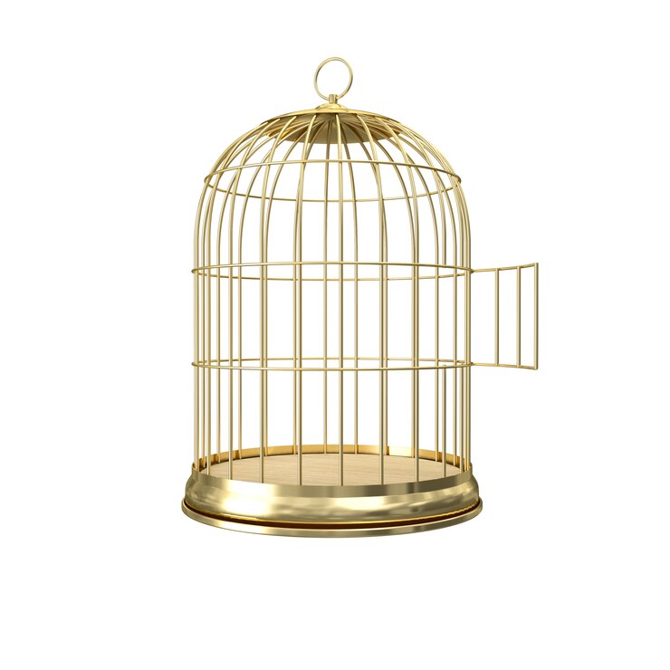 Photo 3d golden birdcage