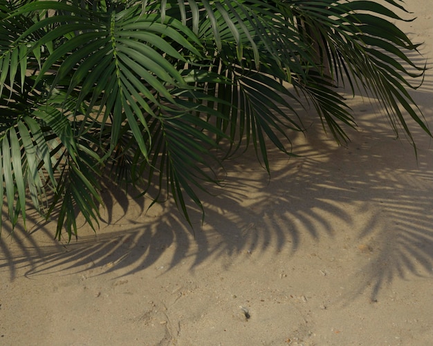 Photo 3d green palm leaves composition